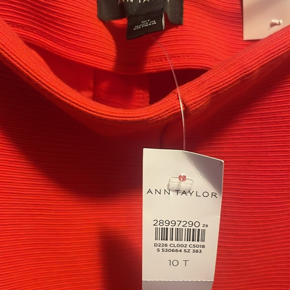 ANN TAYLOR THE KICK CROP - Picture 7 of 10